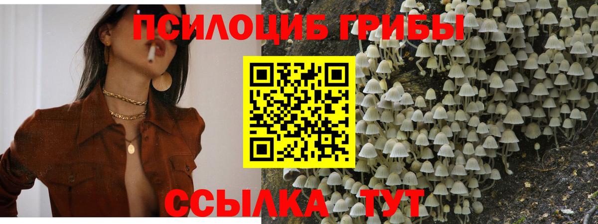 Псилоцибиновые грибы прущие грибы  Вход с VPN  наркота  Галлюциногенные грибы MAGIC MUSHROOMS  Менделеевск 